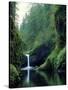Punch Bowl Falls, Eagle Creek, Columbia River Gorge Scenic Area, Oregon, USA-Janis Miglavs-Stretched Canvas