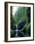 Punch Bowl Falls, Eagle Creek, Columbia River Gorge Scenic Area, Oregon, USA-Janis Miglavs-Framed Photographic Print