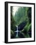 Punch Bowl Falls, Eagle Creek, Columbia River Gorge Scenic Area, Oregon, USA-Janis Miglavs-Framed Photographic Print