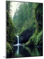 Punch Bowl Falls, Eagle Creek, Columbia River Gorge Scenic Area, Oregon, USA-Janis Miglavs-Mounted Photographic Print