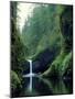 Punch Bowl Falls, Eagle Creek, Columbia River Gorge Scenic Area, Oregon, USA-Janis Miglavs-Mounted Photographic Print