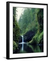 Punch Bowl Falls, Eagle Creek, Columbia River Gorge Scenic Area, Oregon, USA-Janis Miglavs-Framed Photographic Print