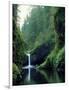 Punch Bowl Falls, Eagle Creek, Columbia River Gorge Scenic Area, Oregon, USA-Janis Miglavs-Framed Photographic Print