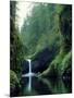 Punch Bowl Falls, Eagle Creek, Columbia River Gorge Scenic Area, Oregon, USA-Janis Miglavs-Mounted Photographic Print