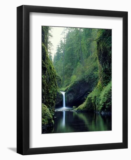 Punch Bowl Falls, Eagle Creek, Columbia River Gorge Scenic Area, Oregon, USA-Janis Miglavs-Framed Photographic Print