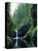 Punch Bowl Falls, Eagle Creek, Columbia River Gorge Scenic Area, Oregon, USA-Janis Miglavs-Stretched Canvas