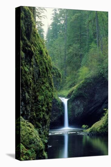 Punch Bowl Falls, Eagle Creek, Columbia River Gorge Scenic Area, Oregon, USA-Janis Miglavs-Stretched Canvas