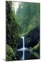 Punch Bowl Falls, Eagle Creek, Columbia River Gorge Scenic Area, Oregon, USA-Janis Miglavs-Mounted Photographic Print