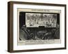 Punch's Almanack-George Du Maurier-Framed Giclee Print