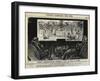 Punch's Almanack-George Du Maurier-Framed Giclee Print