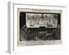 Punch's Almanack-George Du Maurier-Framed Giclee Print