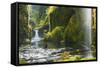 Punchbowl Falls in Eagle Creek, Columbia Gorge, Oregon, USA-Gary Luhm-Framed Stretched Canvas