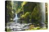 Punchbowl Falls in Eagle Creek, Columbia Gorge, Oregon, USA-Gary Luhm-Stretched Canvas
