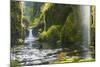 Punchbowl Falls in Eagle Creek, Columbia Gorge, Oregon, USA-Gary Luhm-Mounted Photographic Print