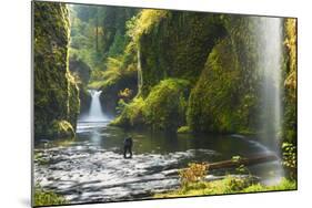 Punchbowl Falls in Eagle Creek, Columbia Gorge, Oregon, USA-Gary Luhm-Mounted Photographic Print