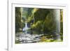 Punchbowl Falls in Eagle Creek, Columbia Gorge, Oregon, USA-Gary Luhm-Framed Photographic Print