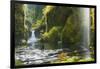 Punchbowl Falls in Eagle Creek, Columbia Gorge, Oregon, USA-Gary Luhm-Framed Photographic Print