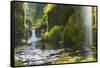 Punchbowl Falls in Eagle Creek, Columbia Gorge, Oregon, USA-Gary Luhm-Framed Stretched Canvas