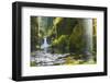 Punchbowl Falls in Eagle Creek, Columbia Gorge, Oregon, USA-Gary Luhm-Framed Photographic Print