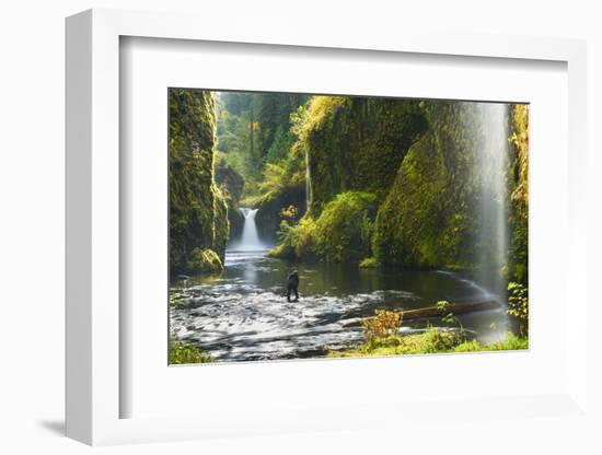 Punchbowl Falls in Eagle Creek, Columbia Gorge, Oregon, USA-Gary Luhm-Framed Photographic Print