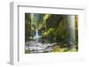 Punchbowl Falls in Eagle Creek, Columbia Gorge, Oregon, USA-Gary Luhm-Framed Photographic Print