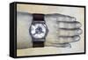 Punctuality-Wayne Anderson-Framed Stretched Canvas