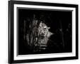 Gramercy Black