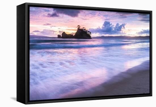 Pungapunga Island at Whangapoua Beach at Sunrise, Coromandel Peninsula, North Island, New Zealand-Matthew Williams-Ellis-Framed Stretched Canvas