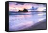 Pungapunga Island at Whangapoua Beach at Sunrise, Coromandel Peninsula, North Island, New Zealand-Matthew Williams-Ellis-Framed Stretched Canvas