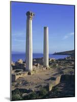 Punic/Roman Ruins of City Founded by Phoenicians in 730 BC, Tharros, Sardinia, Italy, Europe-Sheila Terry-Mounted Photographic Print