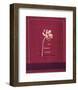 Punjab Poppy-Gaelle Cicarda-Framed Art Print