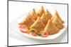 Punjabi Samosa-highviews-Mounted Photographic Print