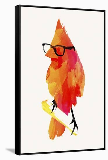 Punk Birdy-Robert Farkas-Framed Stretched Canvas