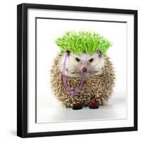 Punk 'Boy' Hedgehog-null-Framed Photographic Print