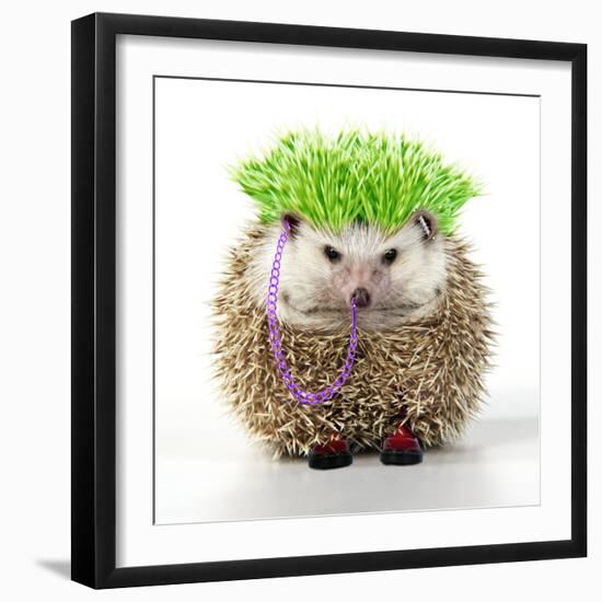 Punk 'Boy' Hedgehog-null-Framed Photographic Print