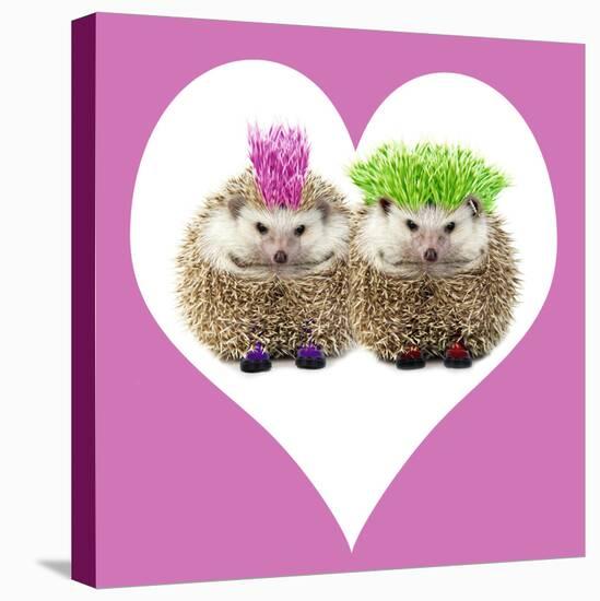 Punk Girl and Boy Hedgehog in Pink Heart Shaped Frame-null-Stretched Canvas