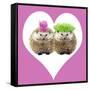 Punk Girl and Boy Hedgehog in Pink Heart Shaped Frame-null-Framed Stretched Canvas