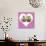 Punk Girl and Boy Hedgehog in Pink Heart Shaped Frame-null-Stretched Canvas displayed on a wall