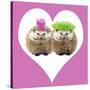 Punk Girl and Boy Hedgehog in Pink Heart Shaped Frame-null-Stretched Canvas