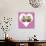 Punk Girl and Boy Hedgehog in Pink Heart Shaped Frame-null-Photographic Print displayed on a wall