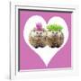 Punk Girl and Boy Hedgehog in Pink Heart Shaped Frame-null-Framed Photographic Print