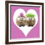 Punk Girl and Boy Hedgehog in Pink Heart Shaped Frame-null-Framed Photographic Print