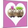 Punk Girl and Boy Hedgehog in Pink Heart Shaped Frame-null-Mounted Photographic Print