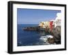 Punta Brava, Puerto De La Cruz, Tenerife, Canary Islands, Spain, Atlantic, Europe-Jeremy Lightfoot-Framed Photographic Print