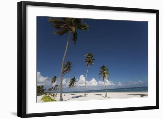 Punta Cana, Dominican Republic, West Indies, Caribbean, Central America-Angelo Cavalli-Framed Photographic Print