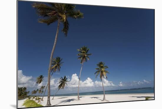 Punta Cana, Dominican Republic, West Indies, Caribbean, Central America-Angelo Cavalli-Mounted Photographic Print
