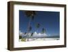 Punta Cana, Dominican Republic, West Indies, Caribbean, Central America-Angelo Cavalli-Framed Photographic Print