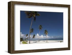 Punta Cana, Dominican Republic, West Indies, Caribbean, Central America-Angelo Cavalli-Framed Photographic Print