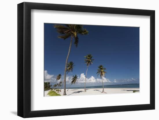 Punta Cana, Dominican Republic, West Indies, Caribbean, Central America-Angelo Cavalli-Framed Photographic Print