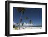 Punta Cana, Dominican Republic, West Indies, Caribbean, Central America-Angelo Cavalli-Framed Photographic Print